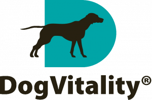DV-logo-transp-300x198