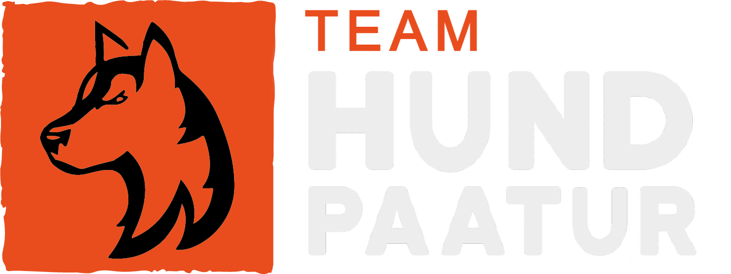 Hundpaatur_gra╠èoransje(2)
