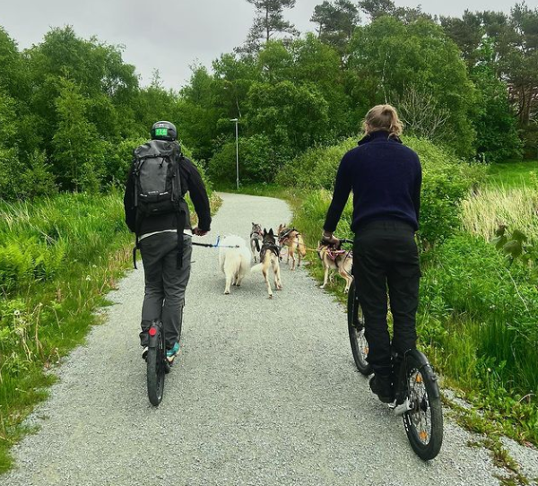 Skjermbilde 2022-07-27 204428