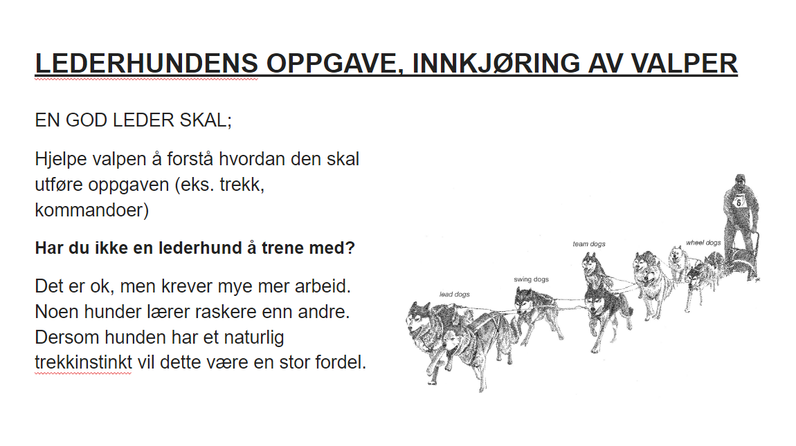 Skjermbilde 2022-07-29 114100