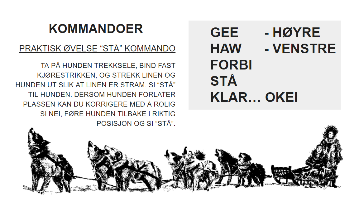 Skjermbilde 2022-07-29 114121